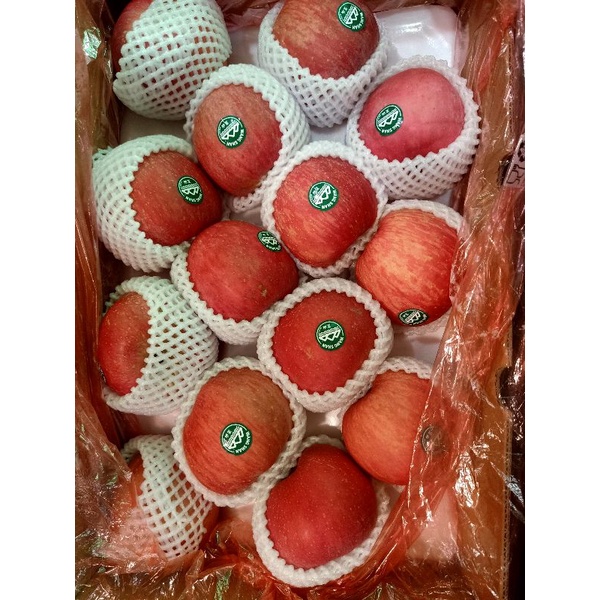 

Apel Fuji WANGSAN premium size besar