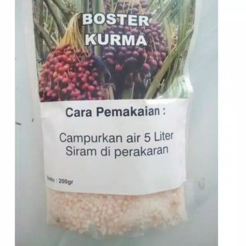 Pupuk perangsang Terbaik untuk Pohon Kurma Yang sudah Lama Belum berbuah Boster Kurma Terlaris
