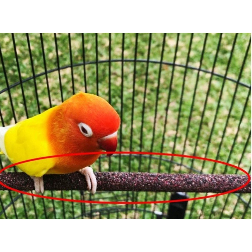 TANGKRINGAN PASIR RESIN SANGKAR BURUNG LOVEBIRD 33.5CM tangset pijakan