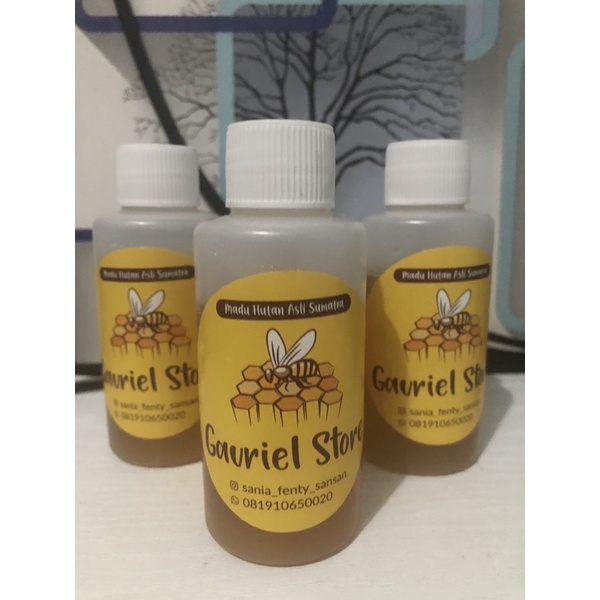 

madu hutan sumatra