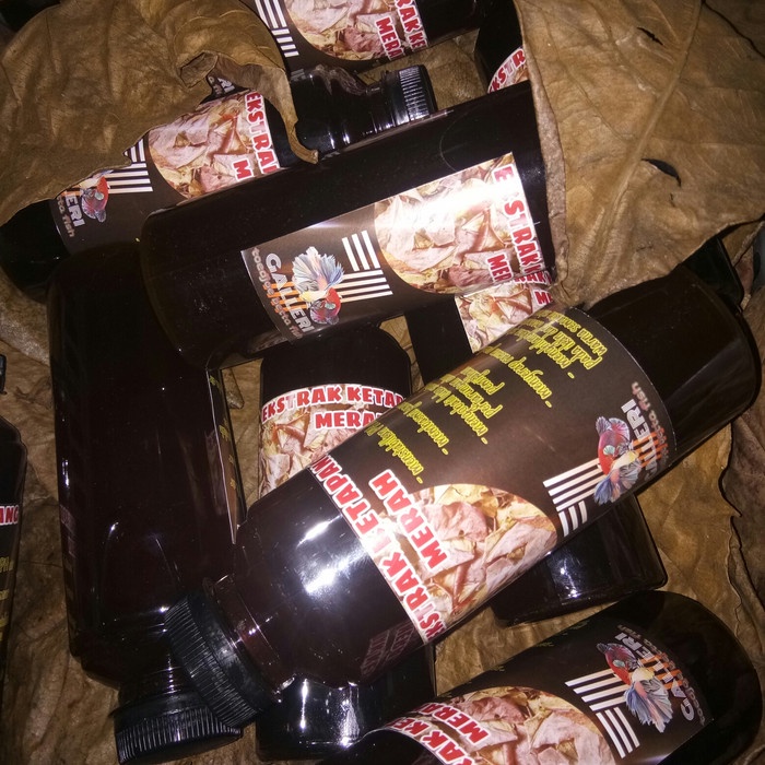 

ekstrak daun ketapang merah