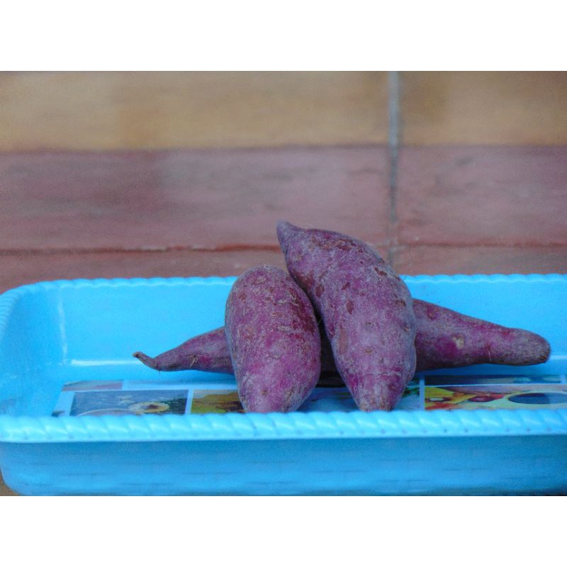 

UBI UNGU Berkualitas, Masih Fresh, 500gram