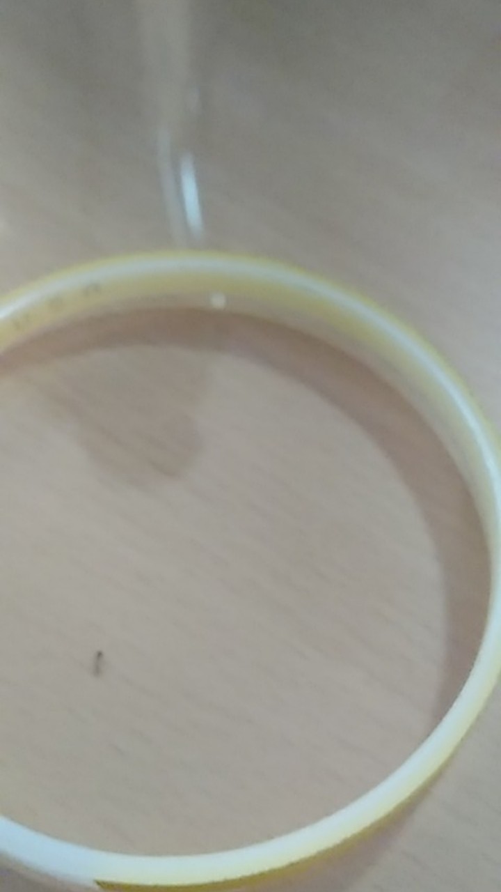 Laundry Bag Kantong Penyimpanan Bed Cover, Handuk, Selimut, Baju