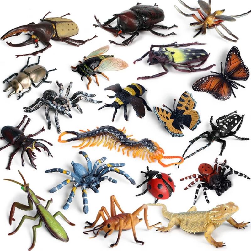 Mainan Hewan Serangga/Mainan Simulasi Edukasi Bentuk Serangga