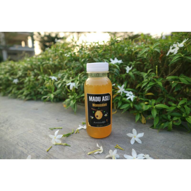 

Madu Melifera Kaliandra