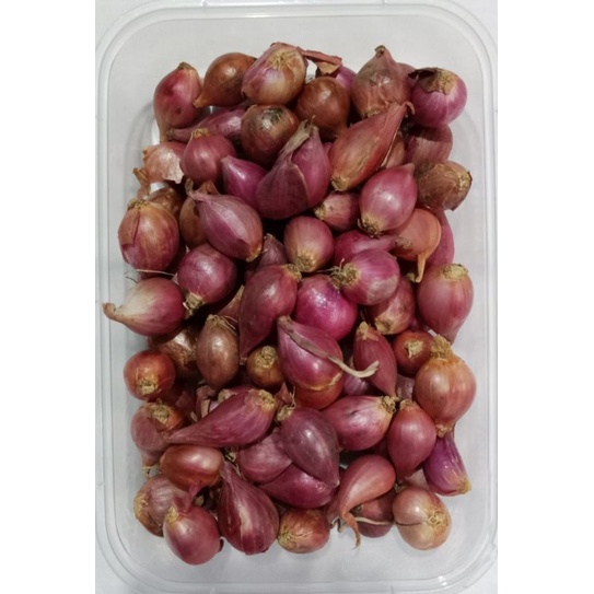 

bawang merah