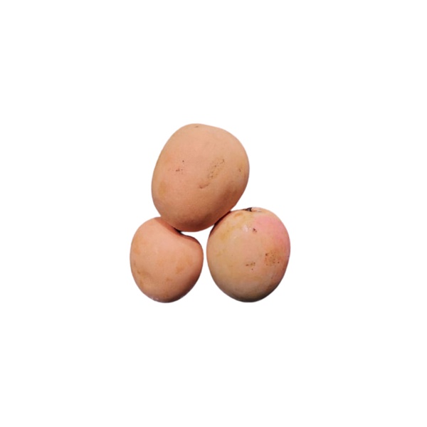 

Mangga Gedong Gincu 1Kg