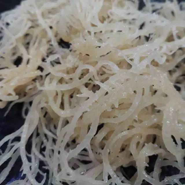 

RUMPUT LAUT/500 gr