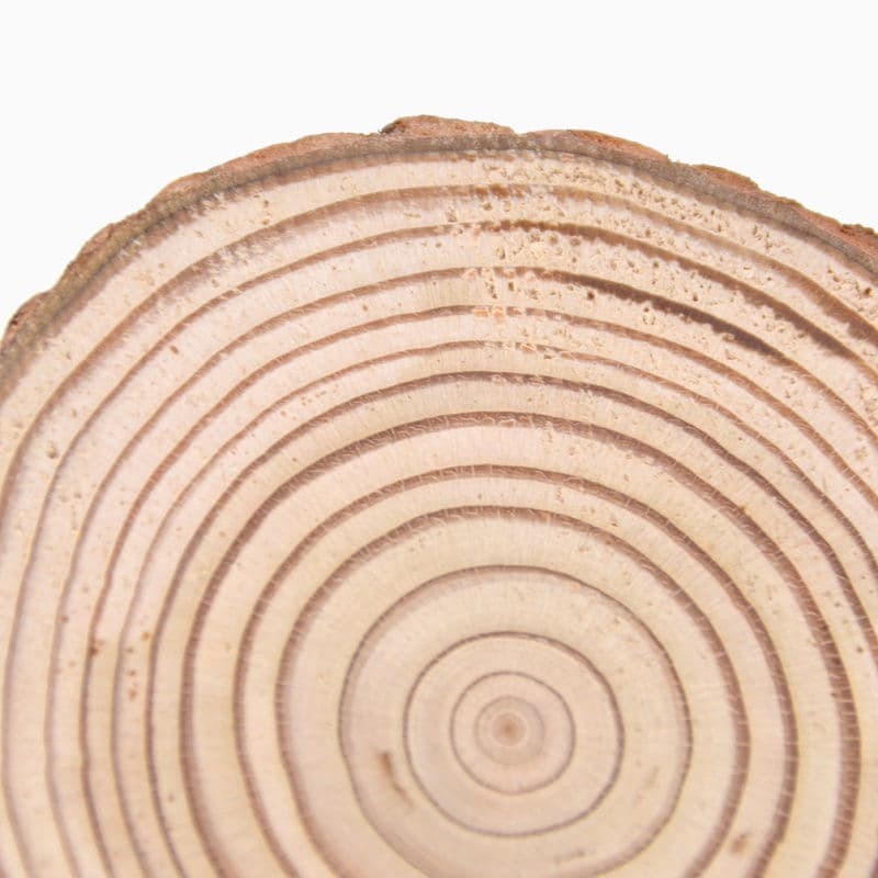 Wooden Slice Coasters