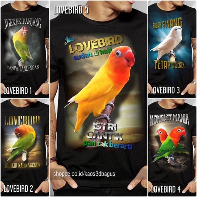 Baju KAOS LOVEBIRD Kicau Mania Bahan PREMIUM Kaos BURUNG Lovebird Kaos Komunitas BURUNG Distro