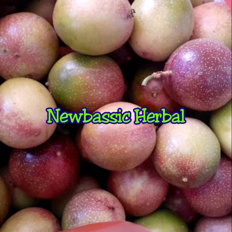 

buah markisa ungu fresh 1kg