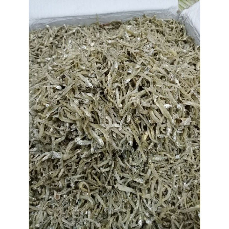 

ikan teri/Teri kalimantan