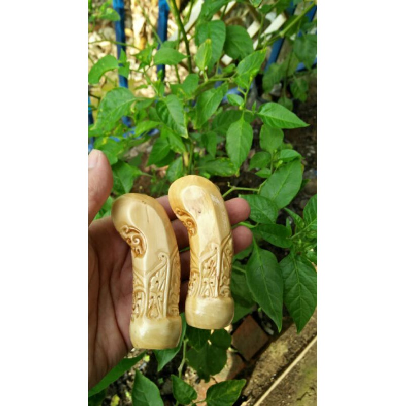 DEDER KERIS PUTRI KINURUNG