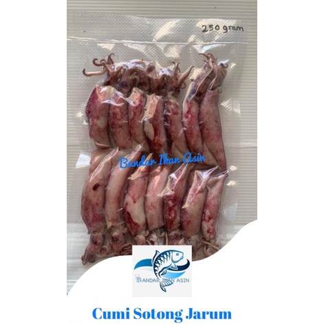 

Cumi / Sotong Jarum