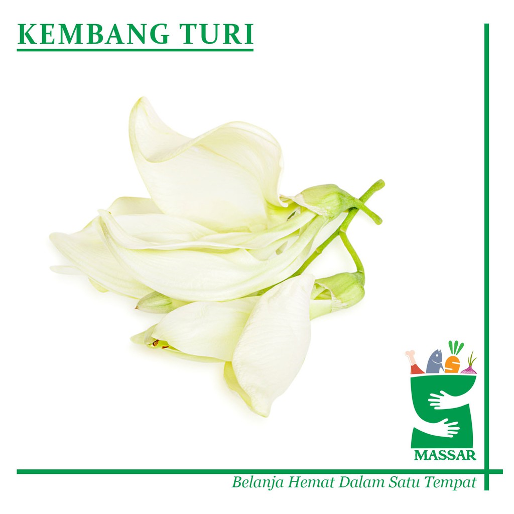 

KEMBANG TURI 250gr