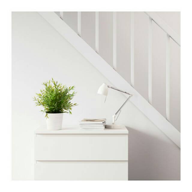 FEJKA Pogonatherum, Tanaman tiruan dalam pot 10 cm