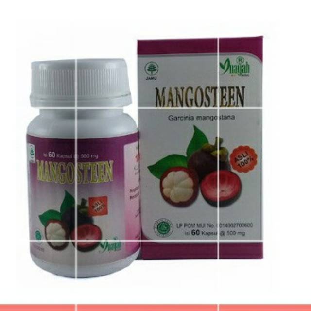 Kapsul Manggis Mangosteen Garcinia Mangostana 60 Kapsul Inayah