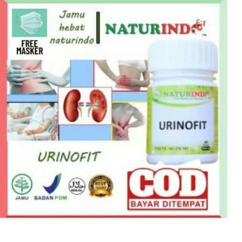 Urinofit obat herbal mengurangi gangguan pada ginjal gangguan ginjal melancarkan buang air kecil gag