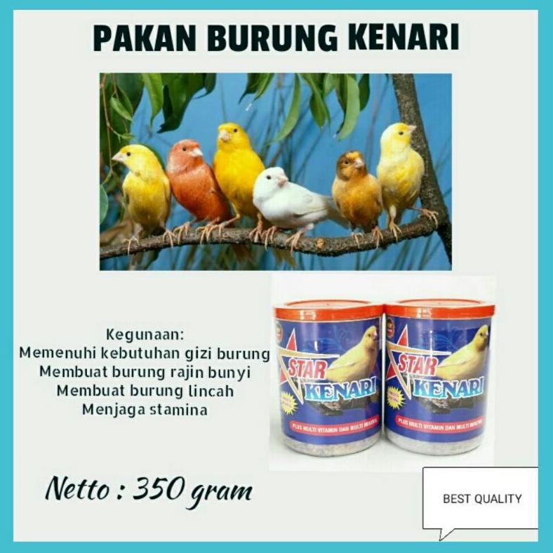 Nutrisi Pakan Burung Kenari  Gacor Ternak Untuk Lomba