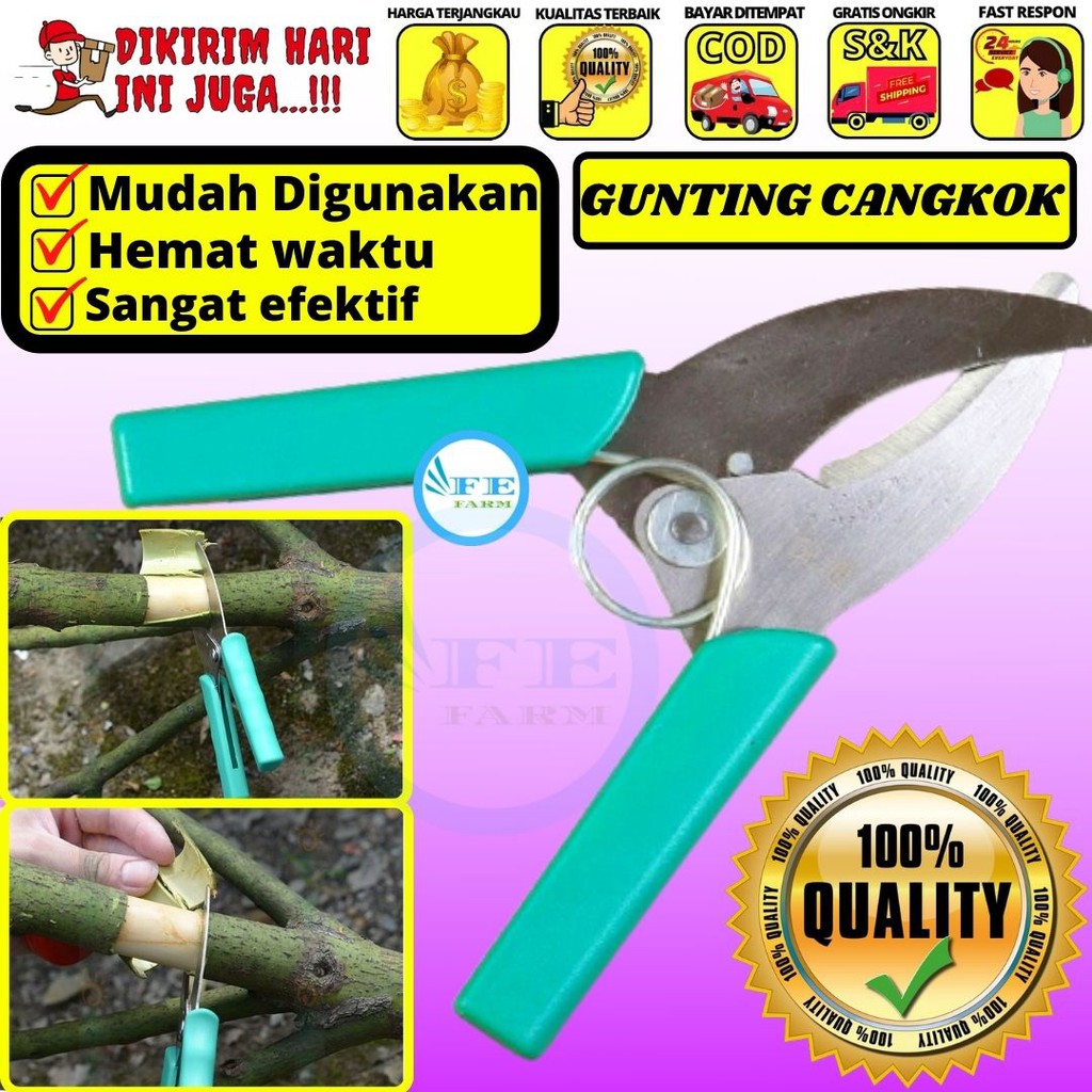 Gunting Kusus Cangkok Tanaman FEFARM