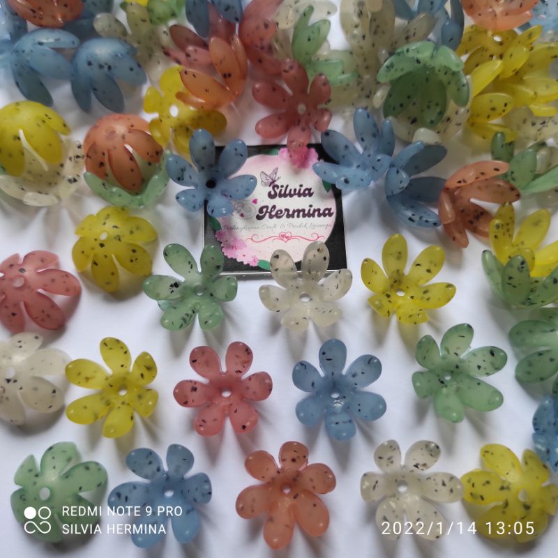 Mote Kelopak Bintik 1 Pon