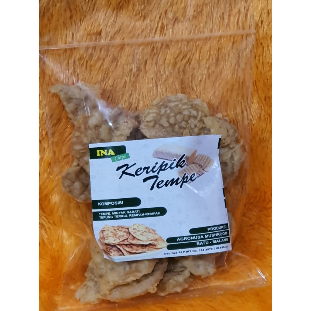 

KERIPIK SAYUR - Keripik Tempe (kemasan 100gr)