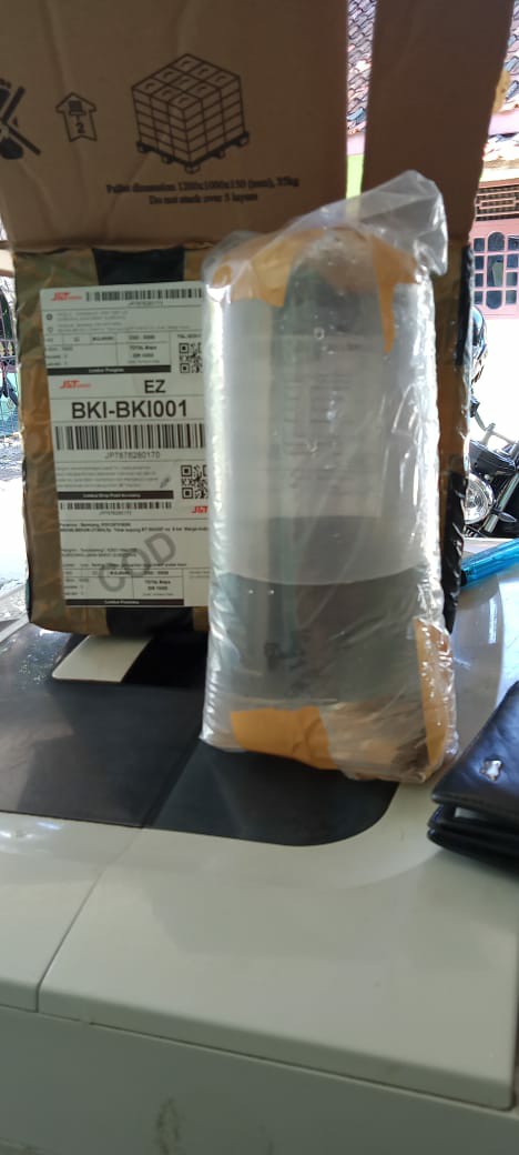 Chana Gachua/ikan Bogo/drawf Snake Head