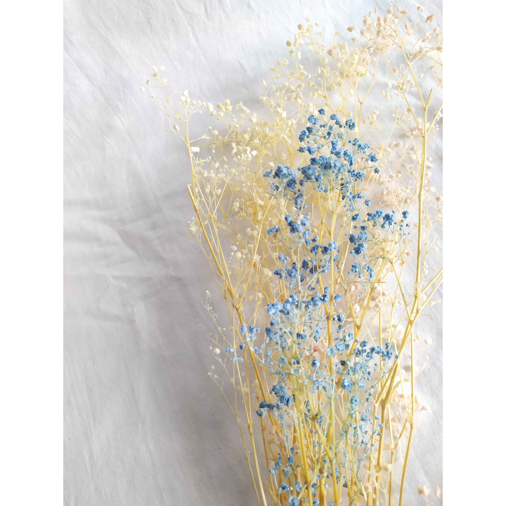 Preserved Baby Breath/ Dried Baby Breath Premium/ Bunga Baby Breath Kering