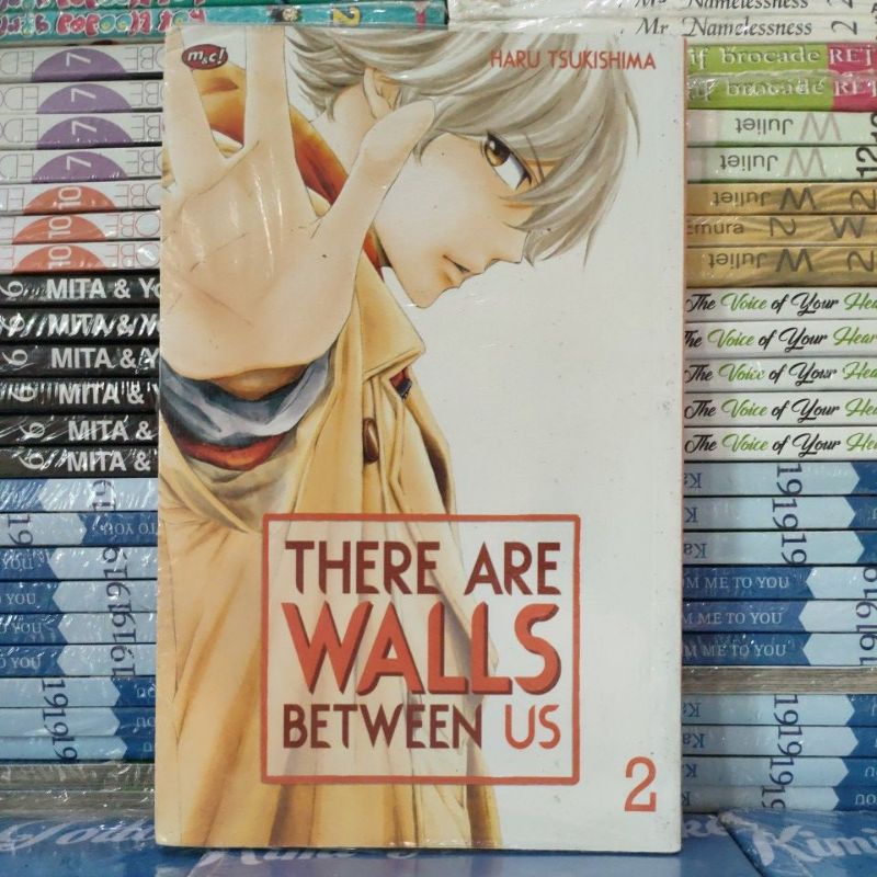 komik there are Walls between US vol 2