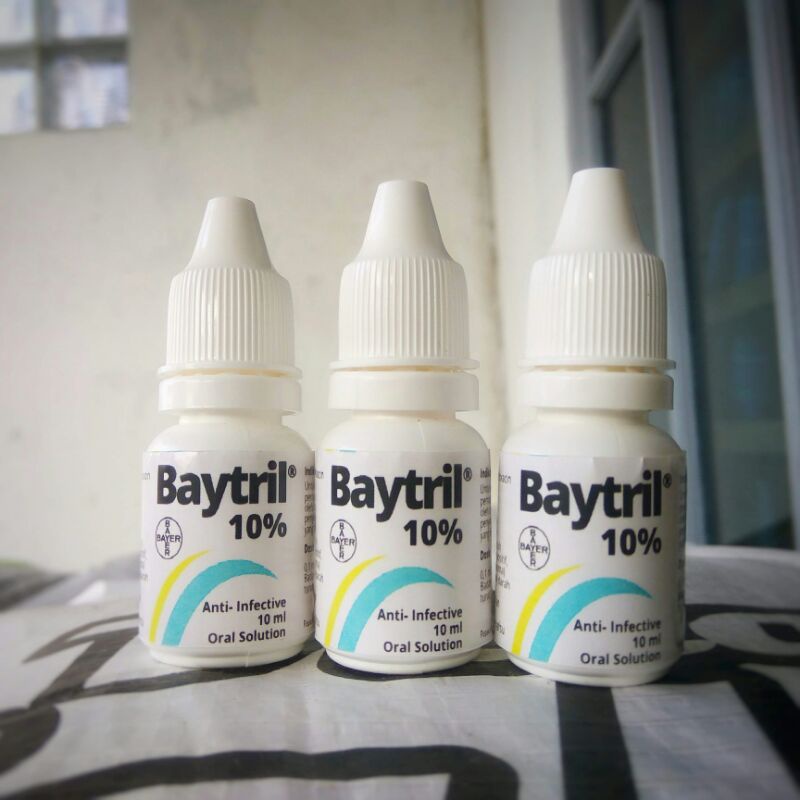 Baytril 10% Flu hewan eksotik