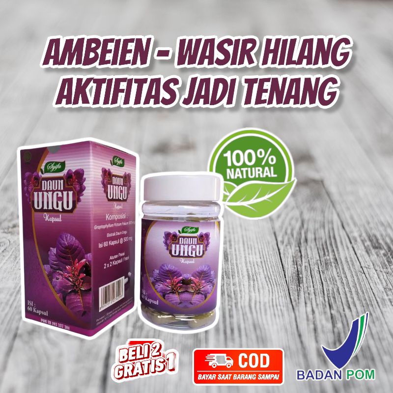Obat Wasir Ambeien Daun Ungu Syifa