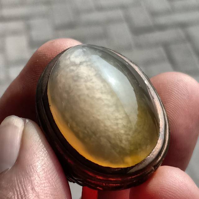 Pandan betik semu lumut