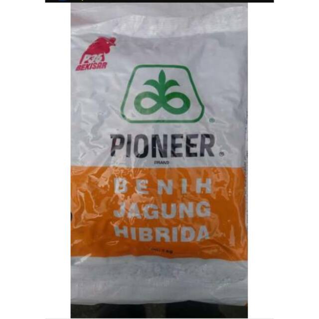 Benih jagung Pioneer 36 P36 bekisar cap ayam jago 1kg