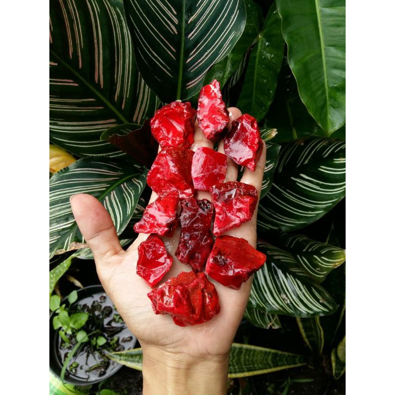 Bahan batu rubah merah oryginal banyuwangi