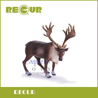 900 Koleksi Gambar Binatang Rusa Kutub HD Terbaik