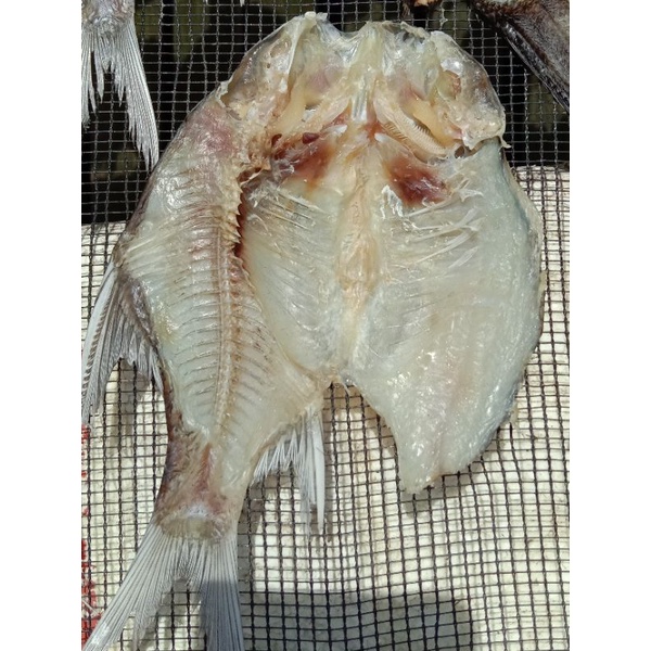 

Ikan Asin Rapang/Puyau