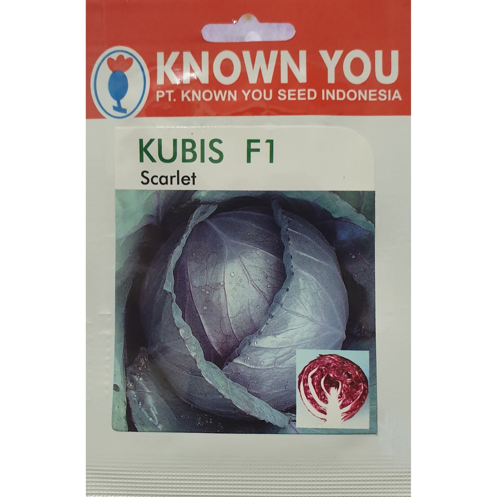 KUBIS SCARLET 150 BIJI PACK KECIL Benih Bibit KUBIS Ungu F1 unggul Known You Seed