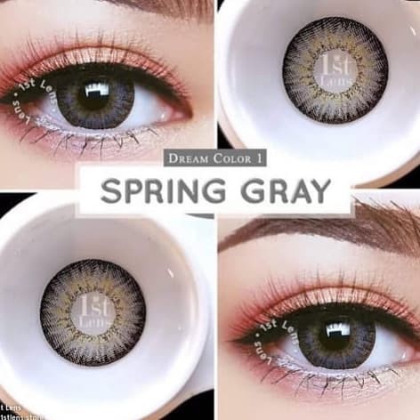 Softlens Spring by Dreamcolor1 DC1 Gray Brown Normal Minus kontak Lensa botol