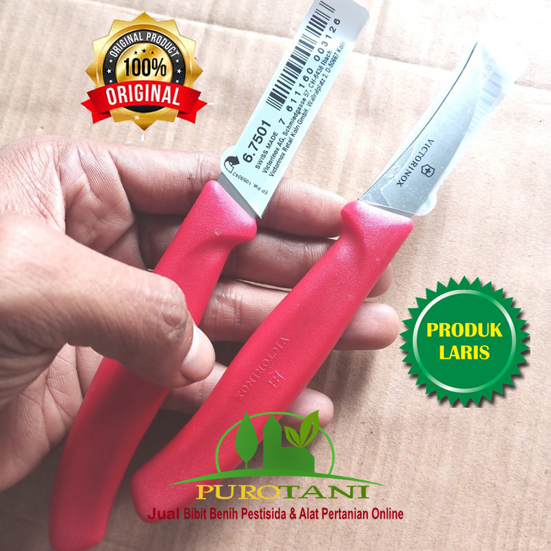 Pisau Grafting Cangkok Ukir Buah Peeling  Okulasi Victorinox Swiss