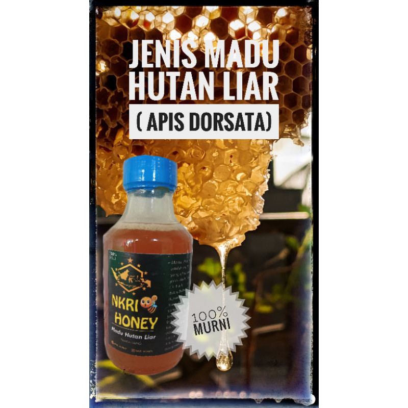 

madu hutan liar isi 200g