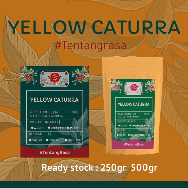 

KOPI ARABICA YELLOW CATURRA TERSEDIA KEMASAN 250GR -1000GR