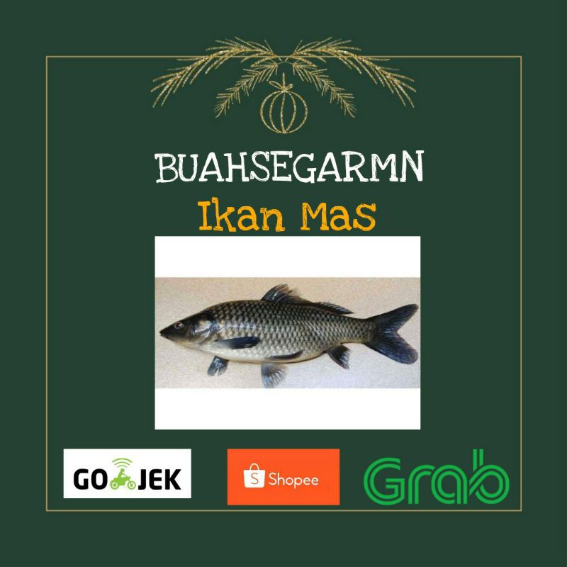 

Ikan Mas - 1Kg