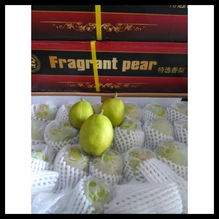 Buah Pear Pir Xiangli 1 Dus (7 Kg) Fresh Import