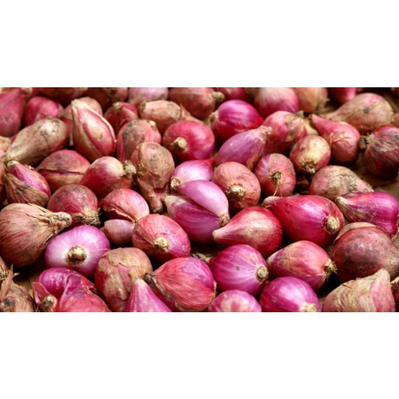 

Bawang merah 1 kg kering