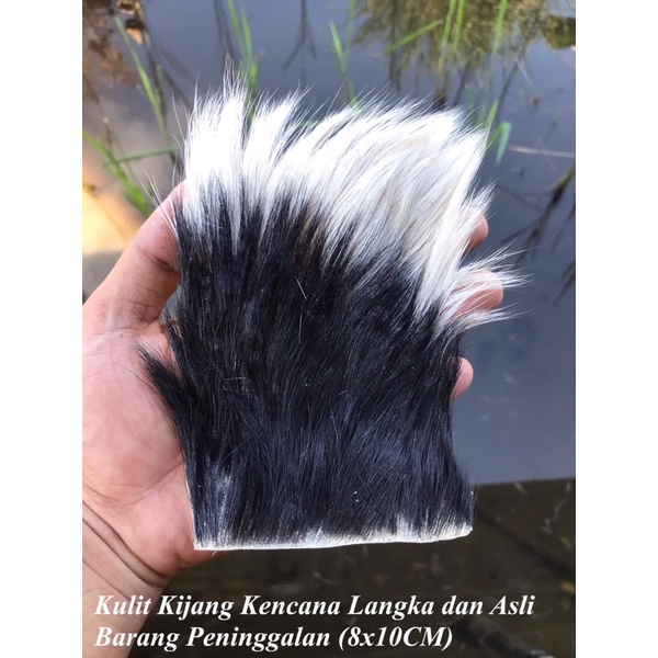 

Klt Kjg Kencana Asli Kalimantan