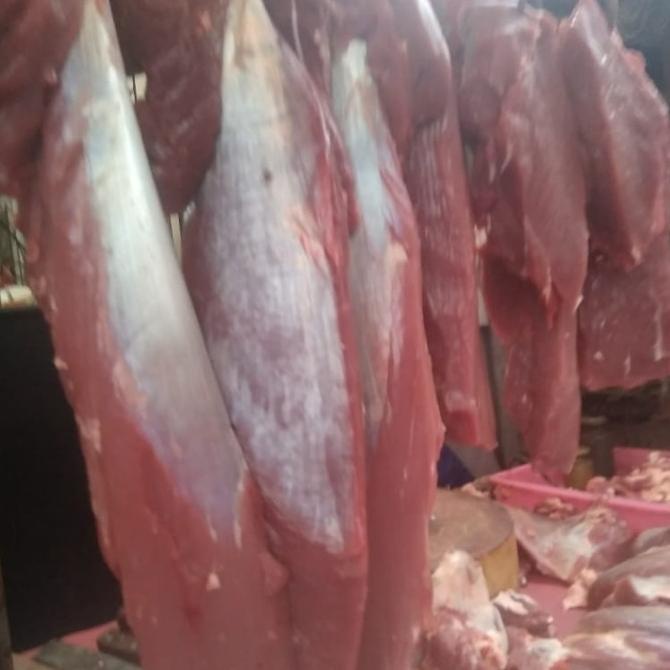 DAGING SAPI KELAPA KNUCKLE FSDGDF252