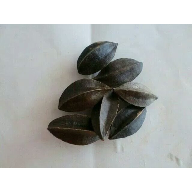 

600 G GR GRAM 使君子 SHI JUN ZI FRUCTUS QUISQUALIS