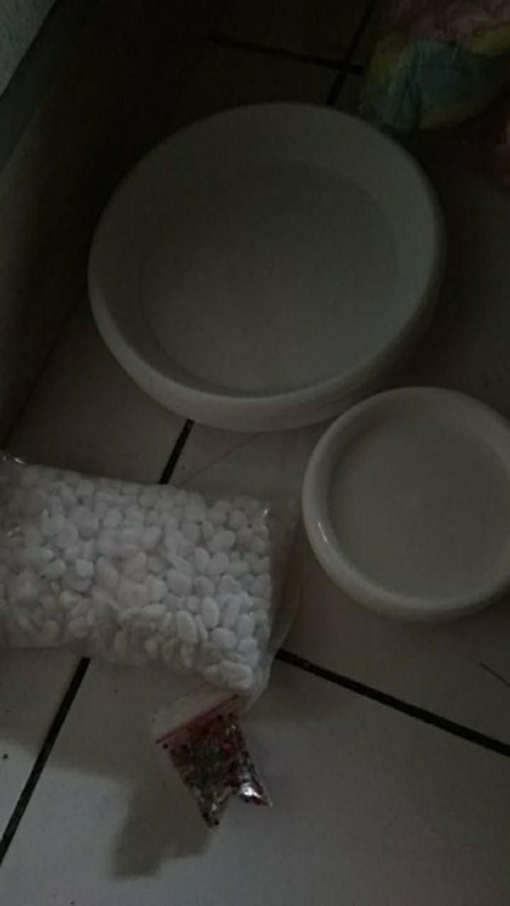 Tatakan Nkt 20 / Lovenia 18 Polos Alas Pot