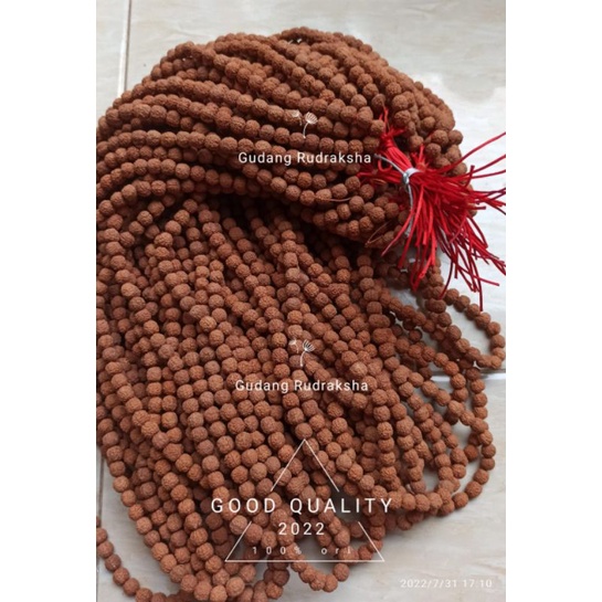 Kalung jenitri asli 8mm premium