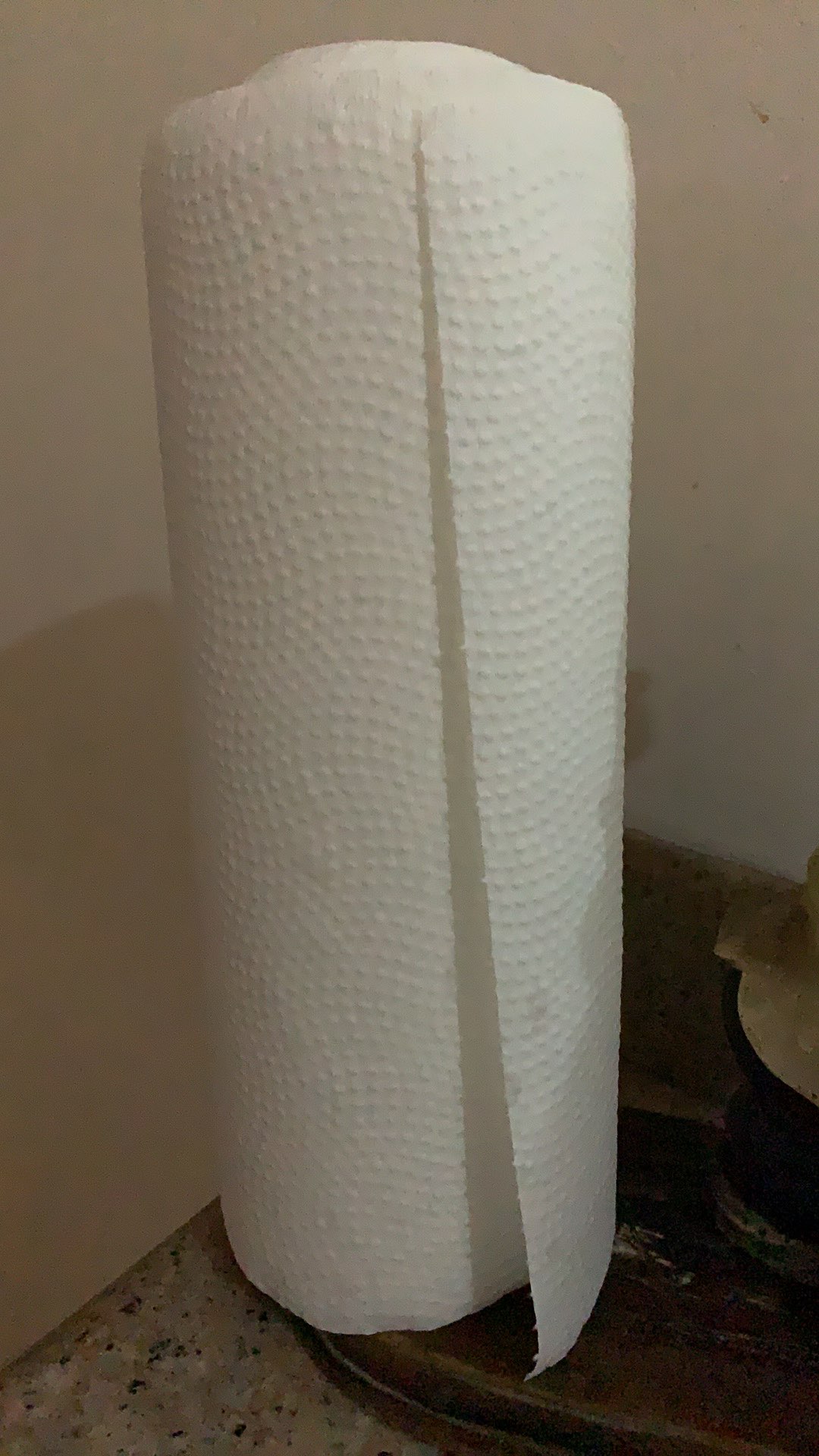 PASEO Elegant  Kitchen towel Tissue Dapur  3 Roll 2 ply 